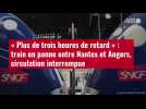 VIDÉO. « Plus de trois heures de retard » : train en panne entre Nantes et Angers, circula
