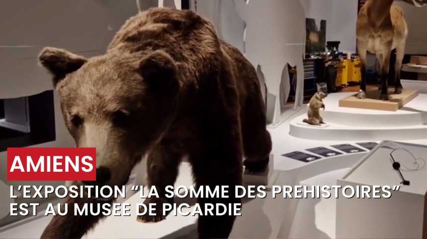 La somme des Préhistoires. Un territoire, notre histoire. main image 1