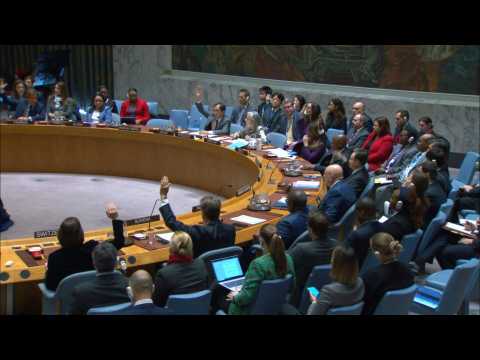 Russia, China veto US draft Security Council resolution on Gaza 'ceasefire'