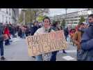 VIDEO. Grève de la fonction publique : près de 3 000 personnes dans la rue à Nantes