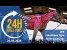 ZFE, moustique tigre, «horse painting» : « 24 heures chez vous », le 20 mars 2024