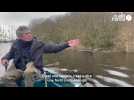 VIDEO. Le marais de Goulaine, une zone humide protégée aux portes de Nantes