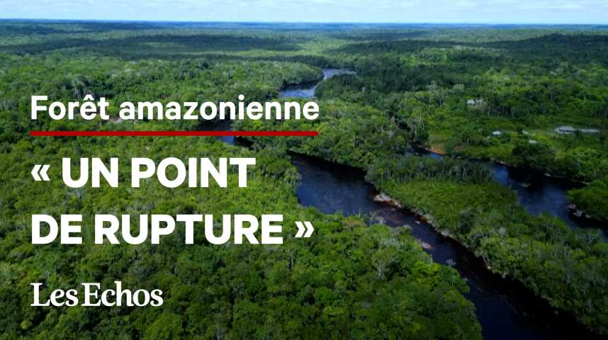 Illustration pour la vidéo Pourquoi la forêt amazonienne pourrait franchir « un point de rupture » d'ici 2050