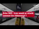 VIDÉO. Grève SNCF : train annulé ou retardé, comment être dédommagé ?