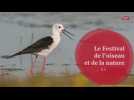 Le Festival de l'oiseau et de la nature 2014 en Picardie