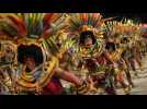 Au carnaval de Rio, l'hommage à la culture yanomamie