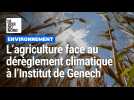 L'Institut de Genech face au changement climatique