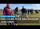 Des cours pour bien éduquer son chien à Romilly-sur-Seine