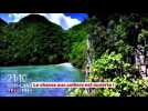 Koh Lanta : Coup de coeur de Télé 7