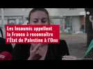 VIDÉO. Les Insoumis appellent la France à reconnaître l'État de Palestine à l'Onu