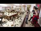 Le Muséum d'histoire naturelle de Montauban accueille un panda roux