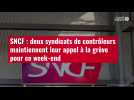 VIDÉO. SNCF : deux syndicats de contrôleurs maintiennent leur appel à la grève pour ce wee