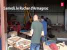 Atelier confection de harpes électriques au Rucher d'Armagnac