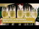 Quelles sont les différences entre le cava et le champagne ?