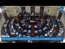 Argentina Senate rejects Milei's mega deregulation decree