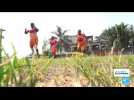Côte d'Ivoire : le football féminin en difficulté financière