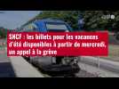 VIDÉO. SNCF : les billets pour les vacances d'été disponibles à partir de mercredi, un appel à la gr