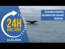 Grandes marées, accident du travail, baleine : « 24 heures chez vous », le 12 mars 2024