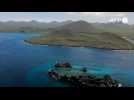 Galapagos: Greenpeace appelle à la création d'une réserve marine mondiale en haute mer