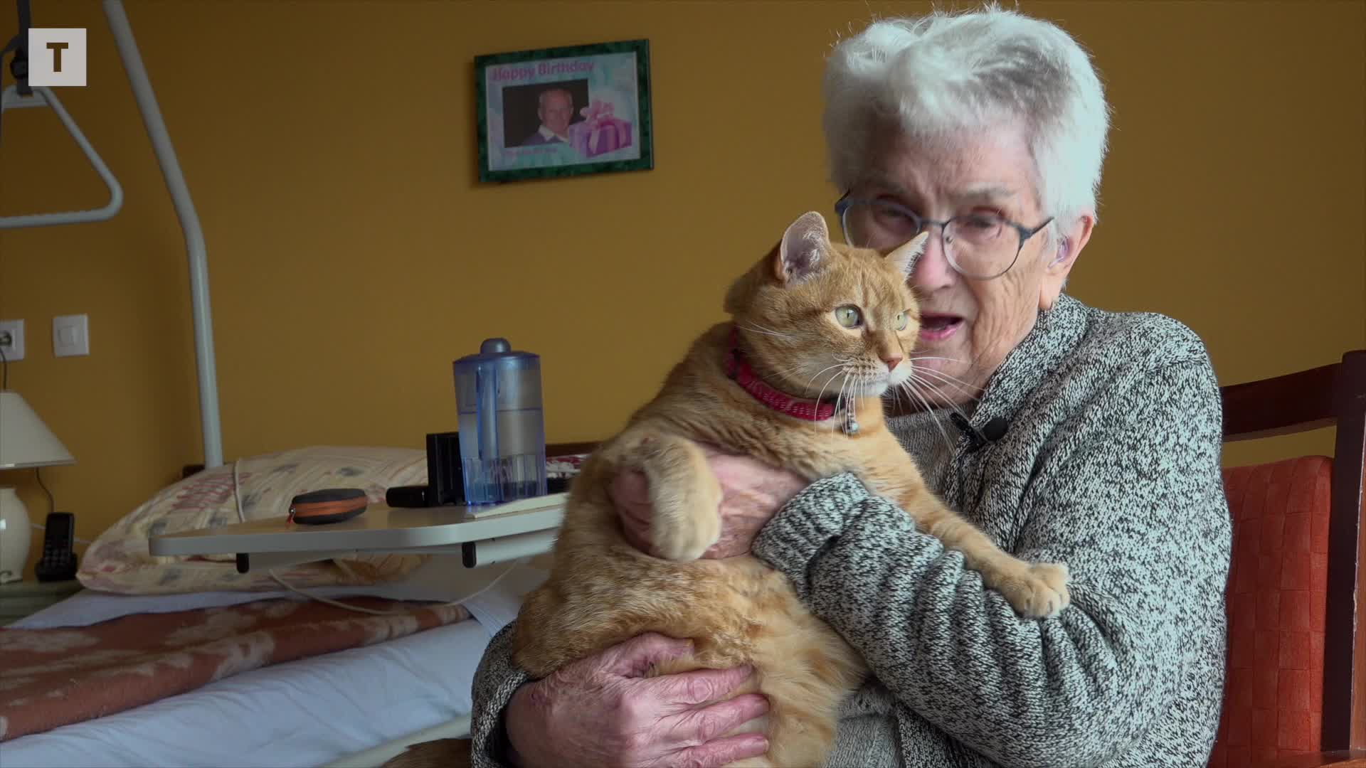« Je suis heureuse avec lui » : Anne-Marie, 92 ans, partage sa chambre d'Ehpad avec son chat Pompon à PlSuc-L'Hermitage [Vidéo]