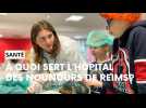 Un hôpital des nounours a ouvert ses portes à Reims