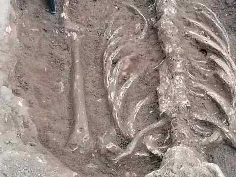 Archéologie : plusieurs squelettes découverts à Dax 