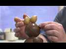Chocolats de Pâques : les créations à croquer de Nicolas Haag