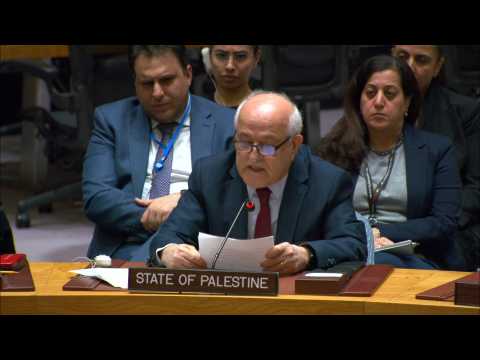 Palestinian envoy says UN resolution must be 'turning point' for Gaza