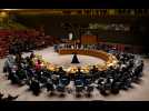 VIDÉO. L'Onu adopte sa première résolution pour un « cessez-le-feu immédiat » à Gaza