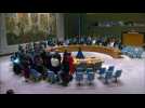 UN Security Council observes moment of silence over Moscow attack