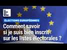 Européennes 2024 : comment savoir si je suis bien inscrit sur les listes électorales (et comment rat