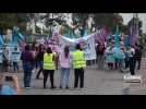 Israël : des manifestations pour la paix dans le nord du pays