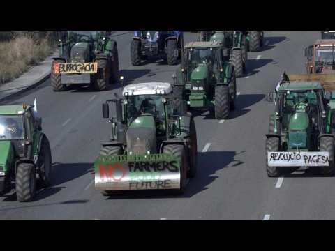 Spain's farmers head to Barcelona in tractor convoy
