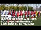 Stade de Reims - Montpellier : l'avant-match avec Amandine Miquel