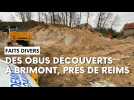 Des centaines d'obus découvertes à Brimont, près de Reims