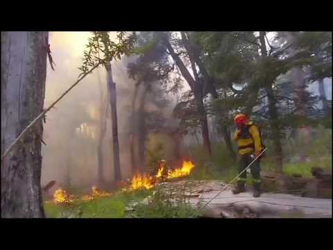 Firefighters work to put out wildfire in Argentina's Patagonia