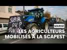 Marne : les agriculteurs se mobilisent près de la centrale d'achat de Leclerc