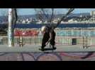 Le bowl de Marseille, Mecque des skateboarders