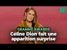Céline Dion crée la surprise aux Grammy Awards 2024 et reçoit une standing ovation