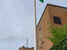Le drapeau palestinien hissé devant l'hôtel communal d'Evere