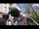 VIDEO. Une centaine de manifestants contre le 