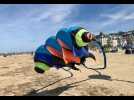 VIDEO. A Trouville-sur-Mer, les cerfs-volants font leur show au soleil