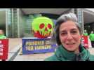 Greenpeace dépose une pomme géante empoisonnée devant le Parlement européen