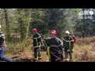 VIDÉO. Une journée avec les pompiers de l'Orne initiés aux feux de forêt