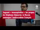VIDÉO. Jugeant « inacceptables » les propos de Stéphane Séjourné, la Russie convoque l'amb
