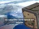 Le premier satellite en bois du monde du envoyé dans l'espace