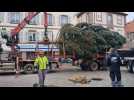 Haguenau : le grand sapin a fait son arrivée au centre-ville