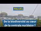 De la biodiversité au coeur de la centrale nucléaire de Paluel ?