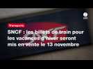 VIDÉO. SNCF : les billets de train pour les vacances d'hiver seront mis en vente le 13 novembre