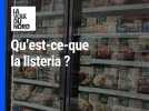 Qu'est-ce-que la listeria ?